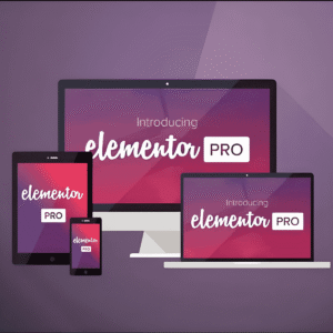 Elementor Pro