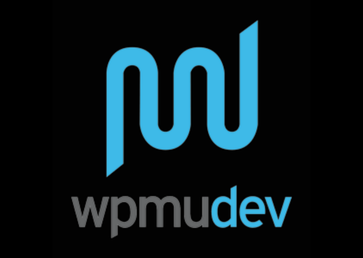 WPMU DEV Brand