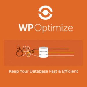 WP Optimize Premium